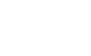 ds-smith
